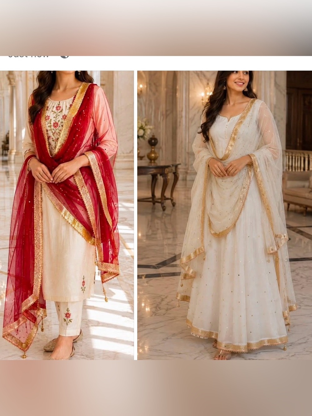 Bundle of Two Ivory& red  Net Dupatta with Gold & Embellished Border
